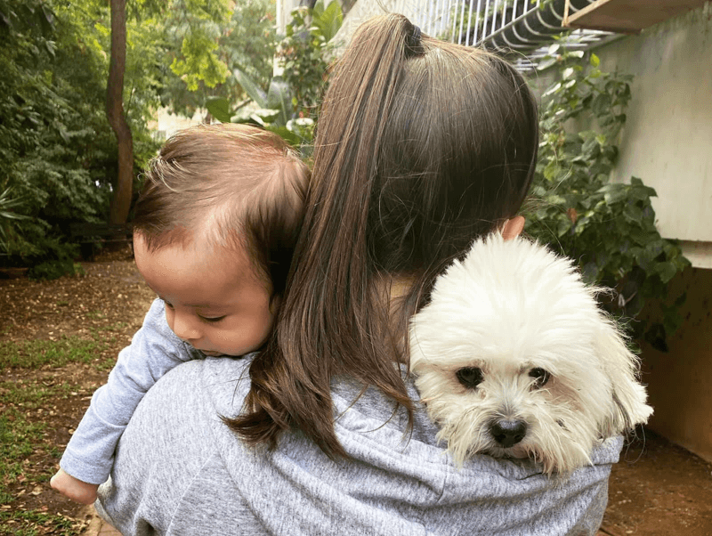 Child safety with pets